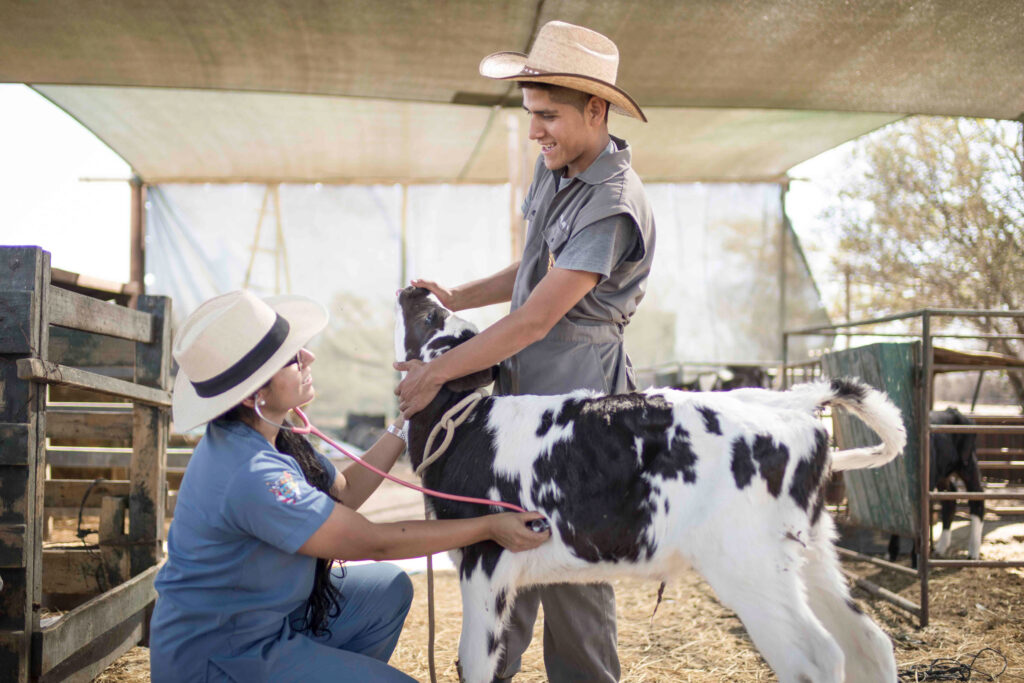 Medicina Veterinaria y Zootecnia – UCSM